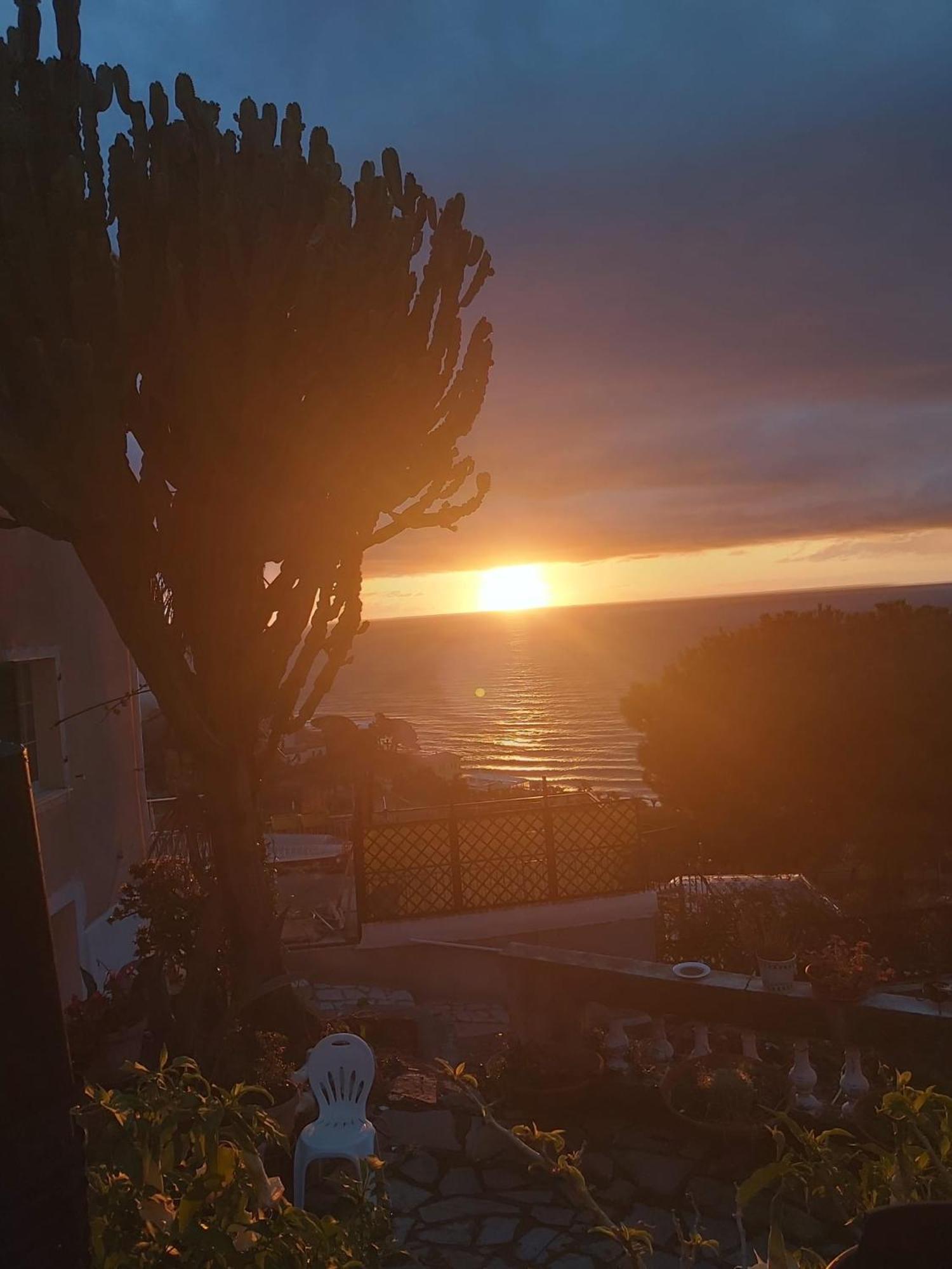 Il Giardino Del Mare *